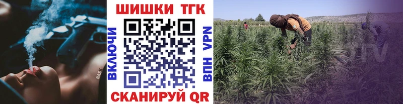 НБОМе Курган