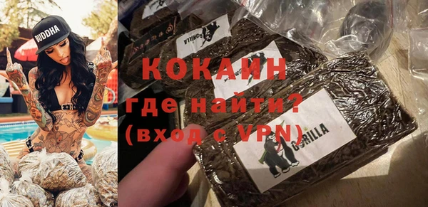 индика Арсеньев