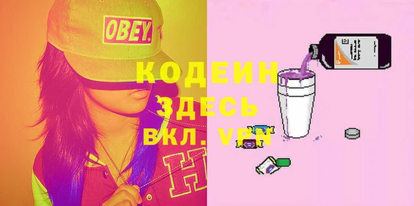 индика Арсеньев