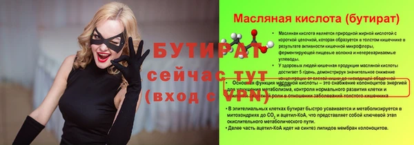 индика Арсеньев