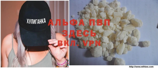 индика Арсеньев
