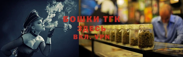 индика Арсеньев