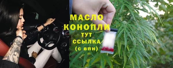 индика Арсеньев