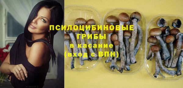 индика Арсеньев