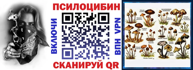 Псилоцибиновые грибы GOLDEN TEACHER  хочу наркоту  Курган 